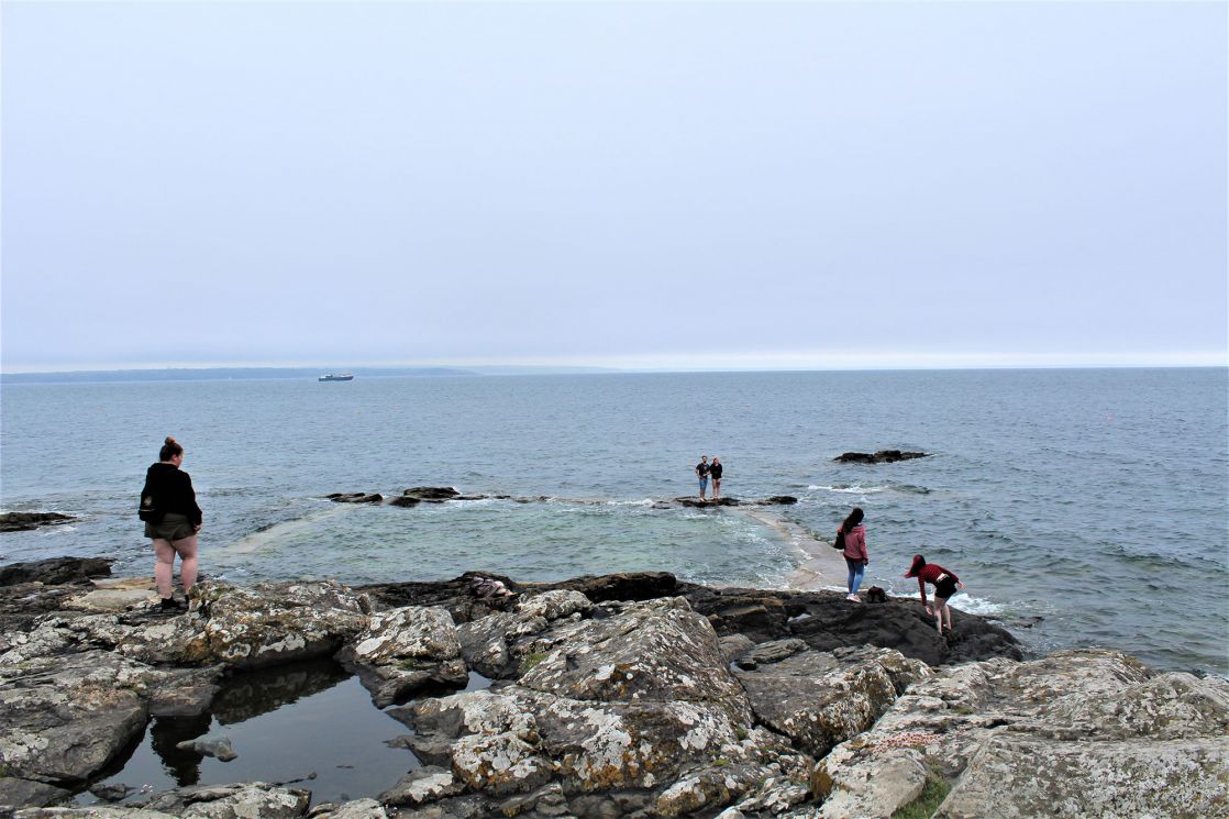 Mousehole Rock Pool